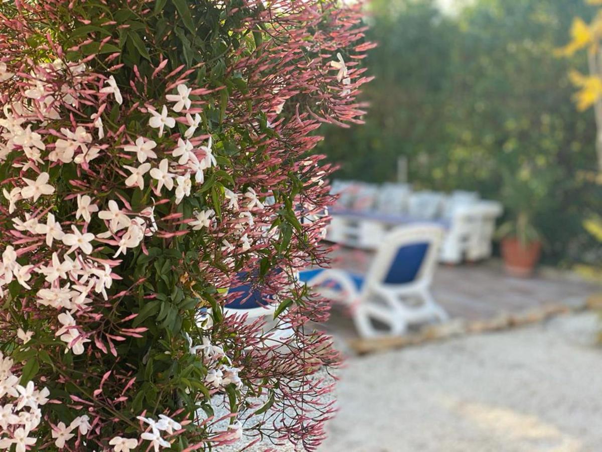 Lovely 2 Bed Apartment In Alcalalí Dış mekan fotoğraf